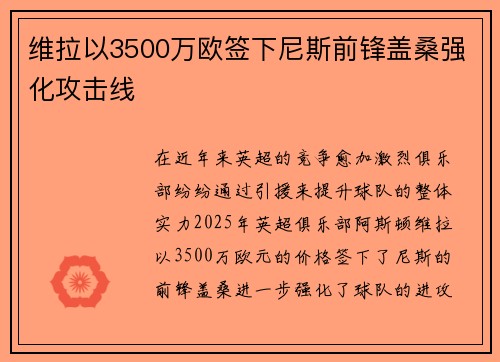 维拉以3500万欧签下尼斯前锋盖桑强化攻击线