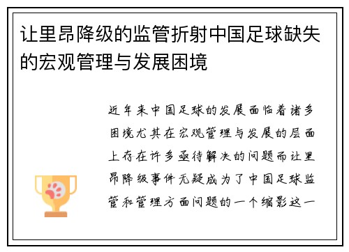 让里昂降级的监管折射中国足球缺失的宏观管理与发展困境
